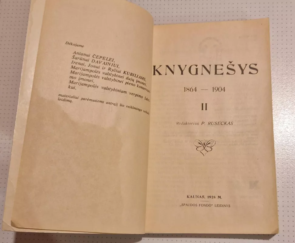 Knygnešys 1864-1904 m. (II dalis) - P. Ruseckas, knyga