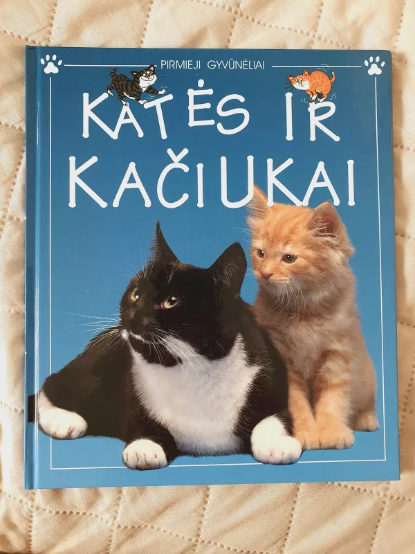 Katės ir kačiukai - Katherine Starke, knyga