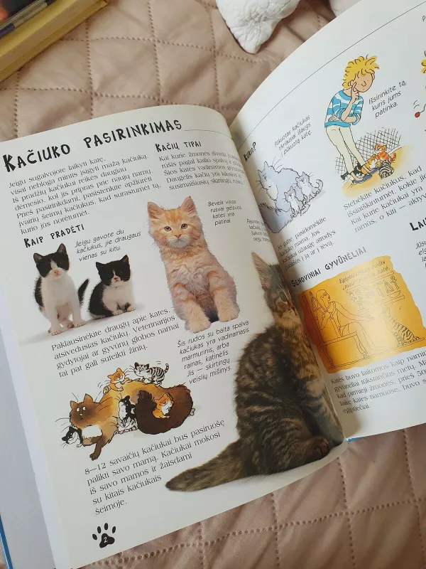 Katės ir kačiukai - Katherine Starke, knyga 3