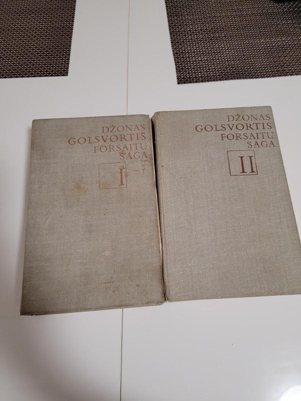 Forsaitų saga (2 tomai) - Džonas Golsvortis, knyga 2