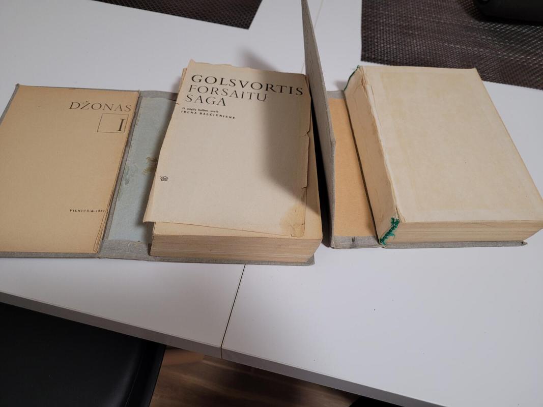 Forsaitų saga (2 tomai) - Džonas Golsvortis, knyga 5