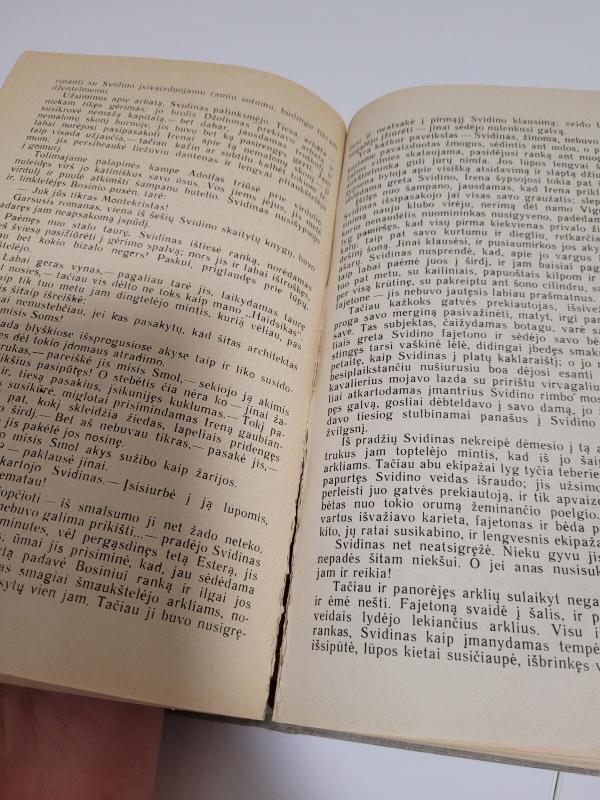 Forsaitų saga (2 tomai) - Džonas Golsvortis, knyga 4