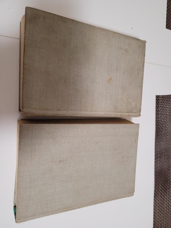 Forsaitų saga (2 tomai) - Džonas Golsvortis, knyga 3