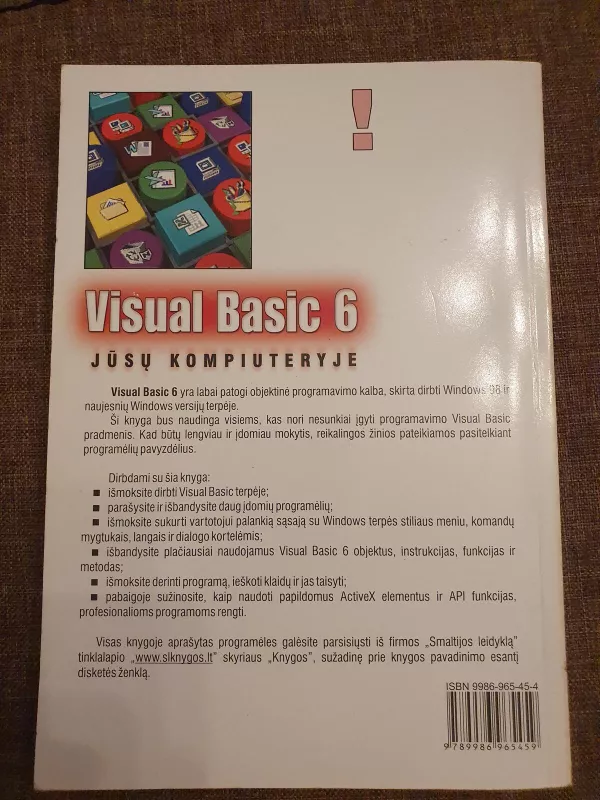 Visual Basic 6 jūsų kompiuteryje - Bangimantas Starkus, knyga 2