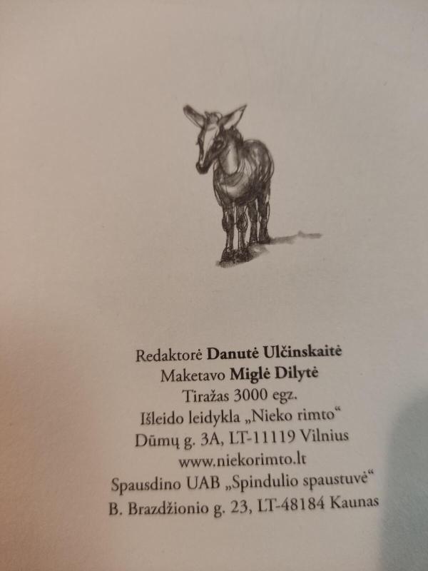 Sidabrinis Asiliukas - Sonya Hartnett, knyga 2