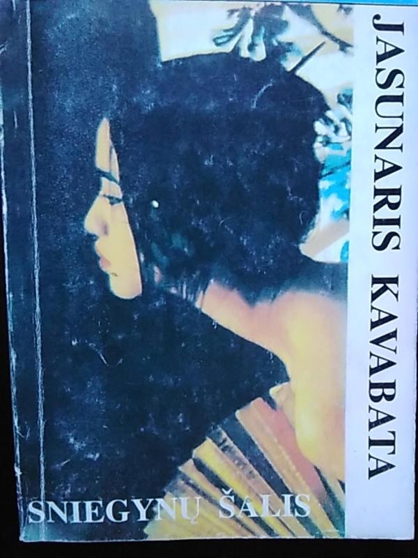 Sniegynų šalis - Jasunaris Kavabata, knyga
