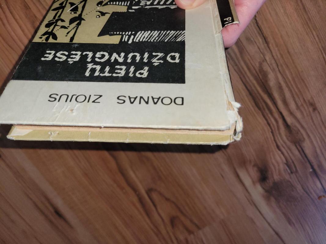 Pietų džiunglėse - Doanas Ziojus, knyga 3