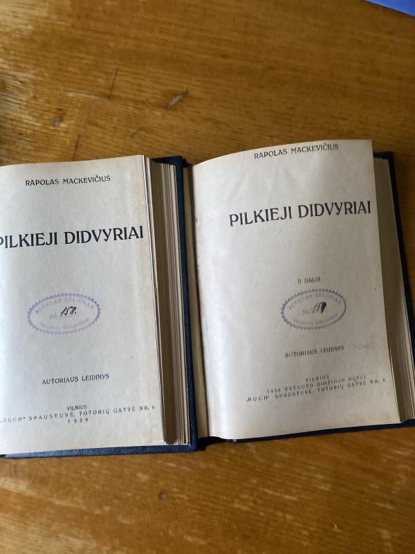 Pilkieji didvyriai 1 ir 2 dalys - R. Mackevičius, knyga 4