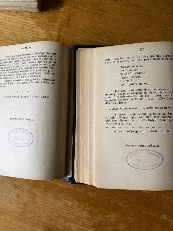 Pilkieji didvyriai 1 ir 2 dalys - R. Mackevičius, knyga 3