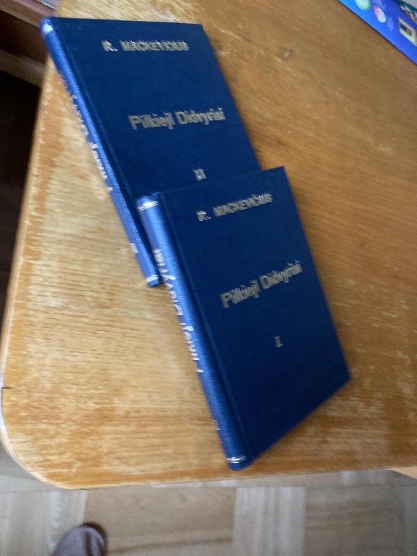 Pilkieji didvyriai 1 ir 2 dalys - R. Mackevičius, knyga 2