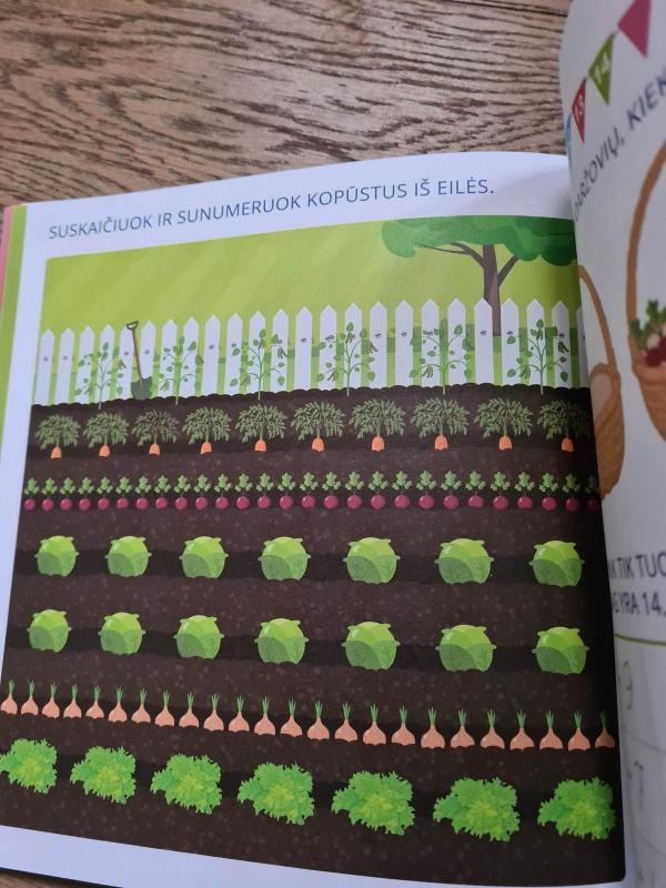 Skaičiuok linksmai. Matematikos pradžiamokslis 5-6 metų vaikams - Andželika Žilinskienė, Ingrida Norkaitienė, knyga 4