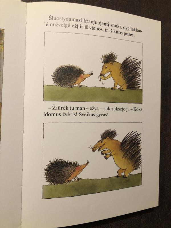 Apie ežį, kuris mėgino tapti kitu žvėrimi - Isolde Stark, knyga 2