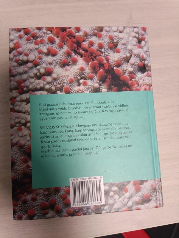 Tu nuostabi - Sylvia Schneider, knyga 2