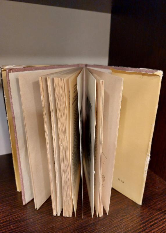 JUSTINAS MARCINKEVIČIUS - Ričardas Pakalniškis, knyga 3