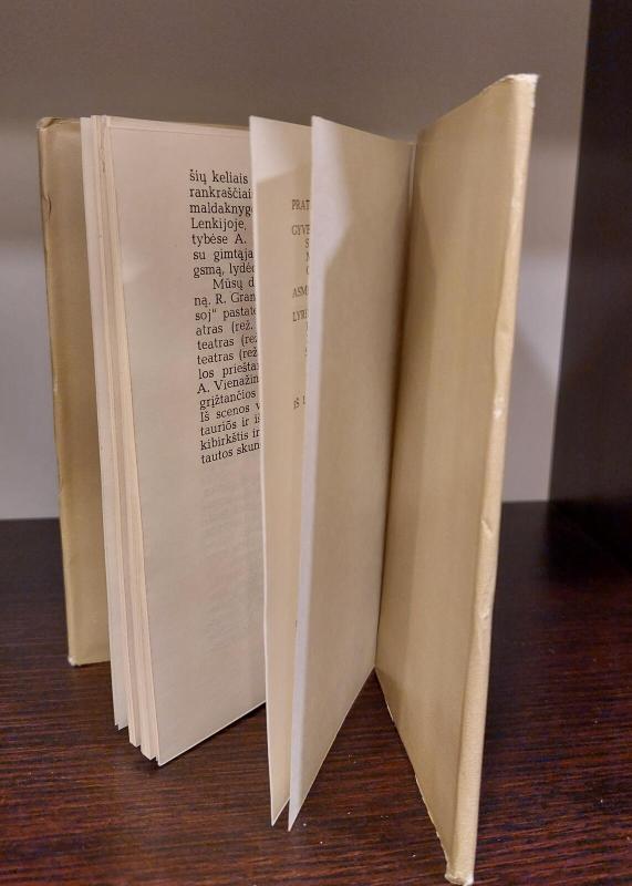 Antanas Vienažindys - T. Bikinaitė, knyga 4