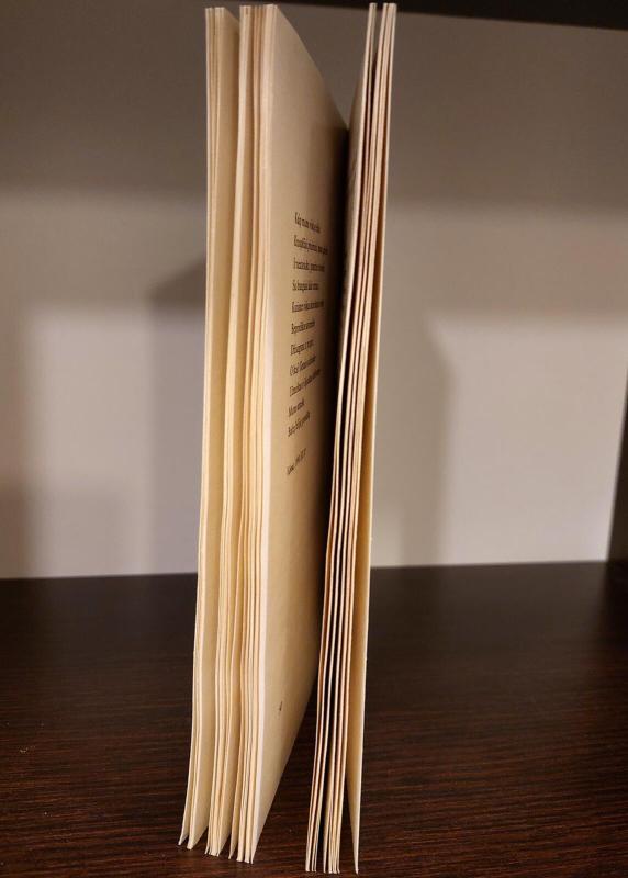 Paguodos angelas - Edmundas Atkočiūnas, knyga 5