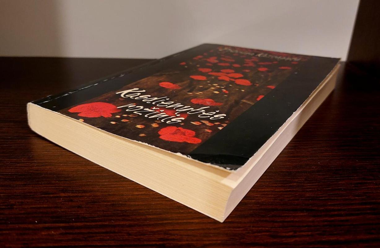 Kasdienybės rožinis - Doloresa Kazragytė, knyga 4