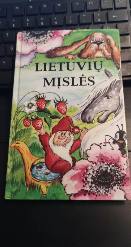 Lietuvių mįslės - Pranas Sasnauskas, knyga
