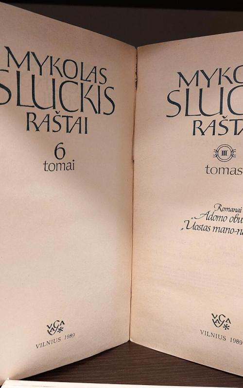 Raštai (3 tomas) - Mykolas Sluckis, knyga 2