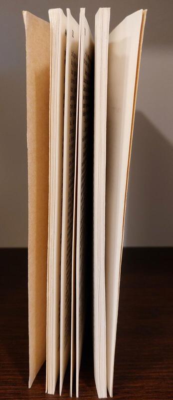 Kentauro herbo giminė - Saulius Tomas Kondrotas, knyga 4