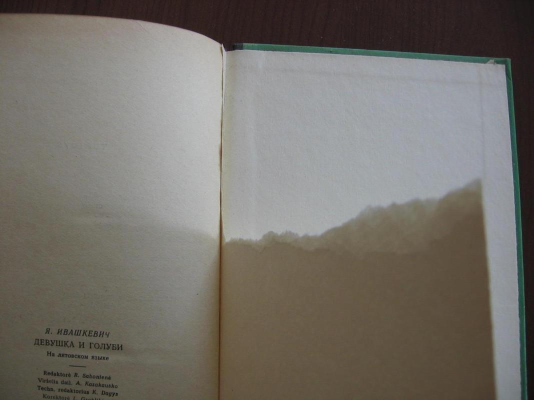 Mergaitė ir balandžiai - J. Ivaškevičius, knyga 5