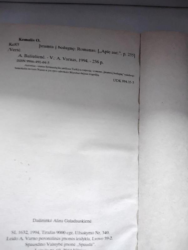 Įstumta į bedugnę - Orchanas Kemalis, knyga 2