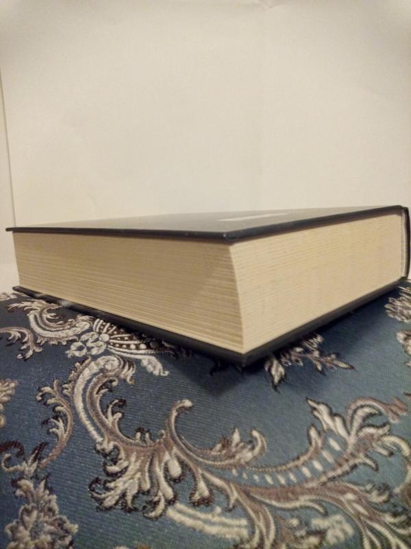 Vilkės pienas. „Karūnos švytuoklė“ 3 dalis - Romanas Judinas, knyga 4