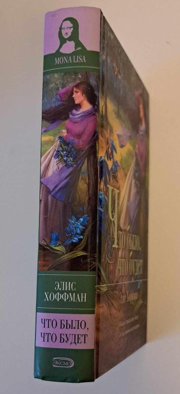 Что было, что будет - Элис Хоффман, knyga 3