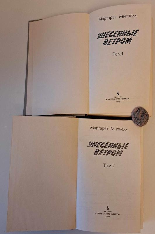 Унесенные ветром (2 тома) - Маргарет Митчелл, knyga 4