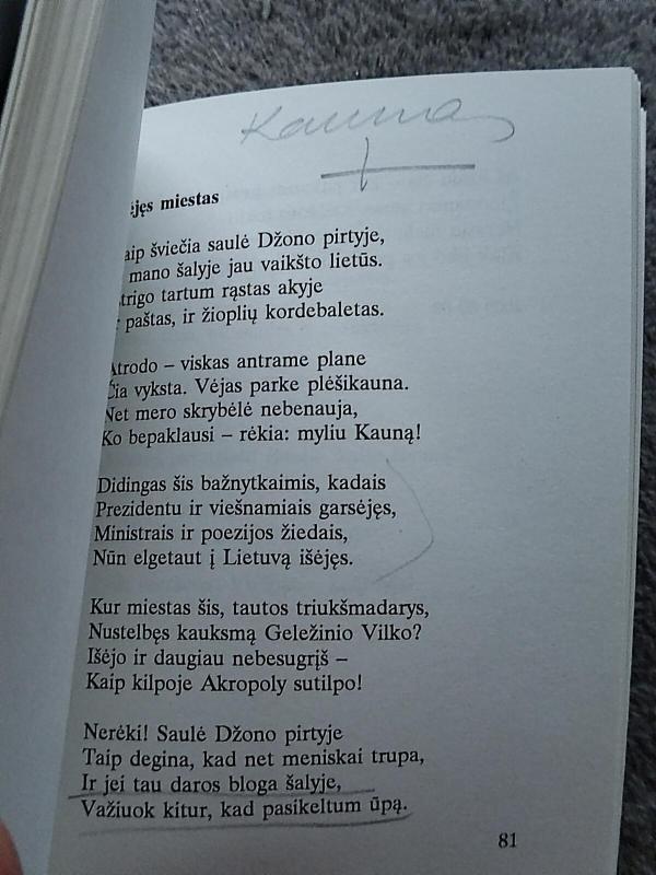 Manęs nebus kai kada: eilėraščiai - Gintaras Patackas, knyga 2