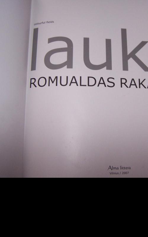 Spalvoti laukai - Romualdas Rakauskas, knyga