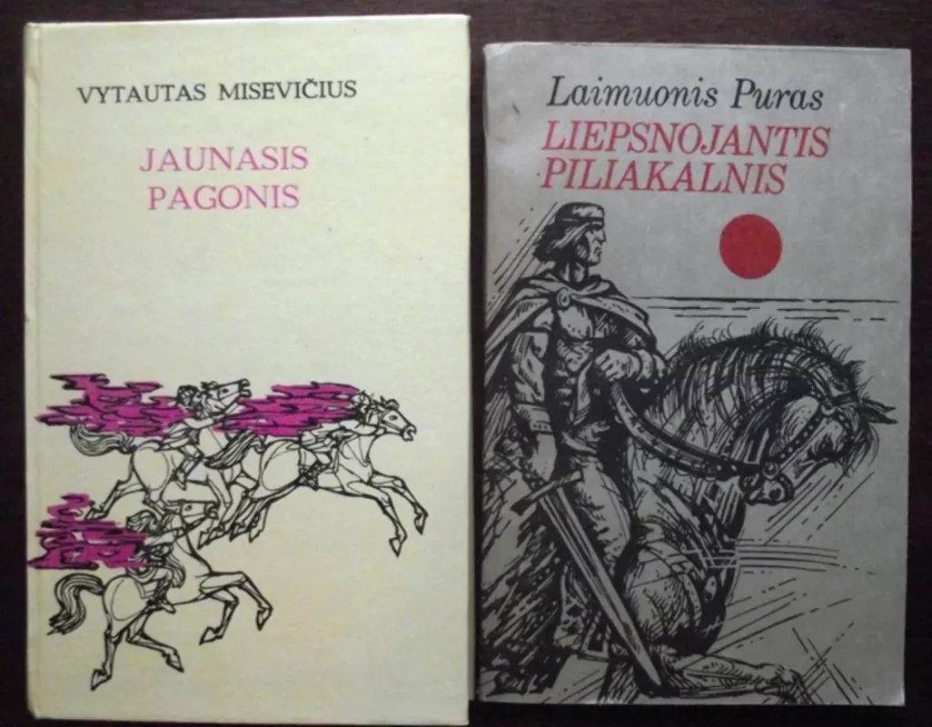 Jaunasis pagonis. Liepsnojantis piliakalnis (2KN.) - Vytautas Misevičius, knyga 2