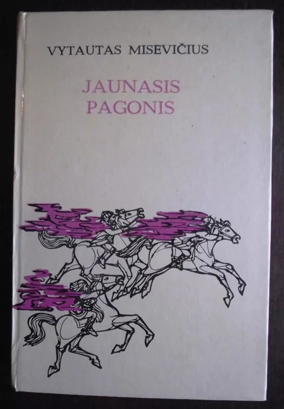 Jaunasis pagonis. Liepsnojantis piliakalnis (2KN.) - Vytautas Misevičius, knyga 5