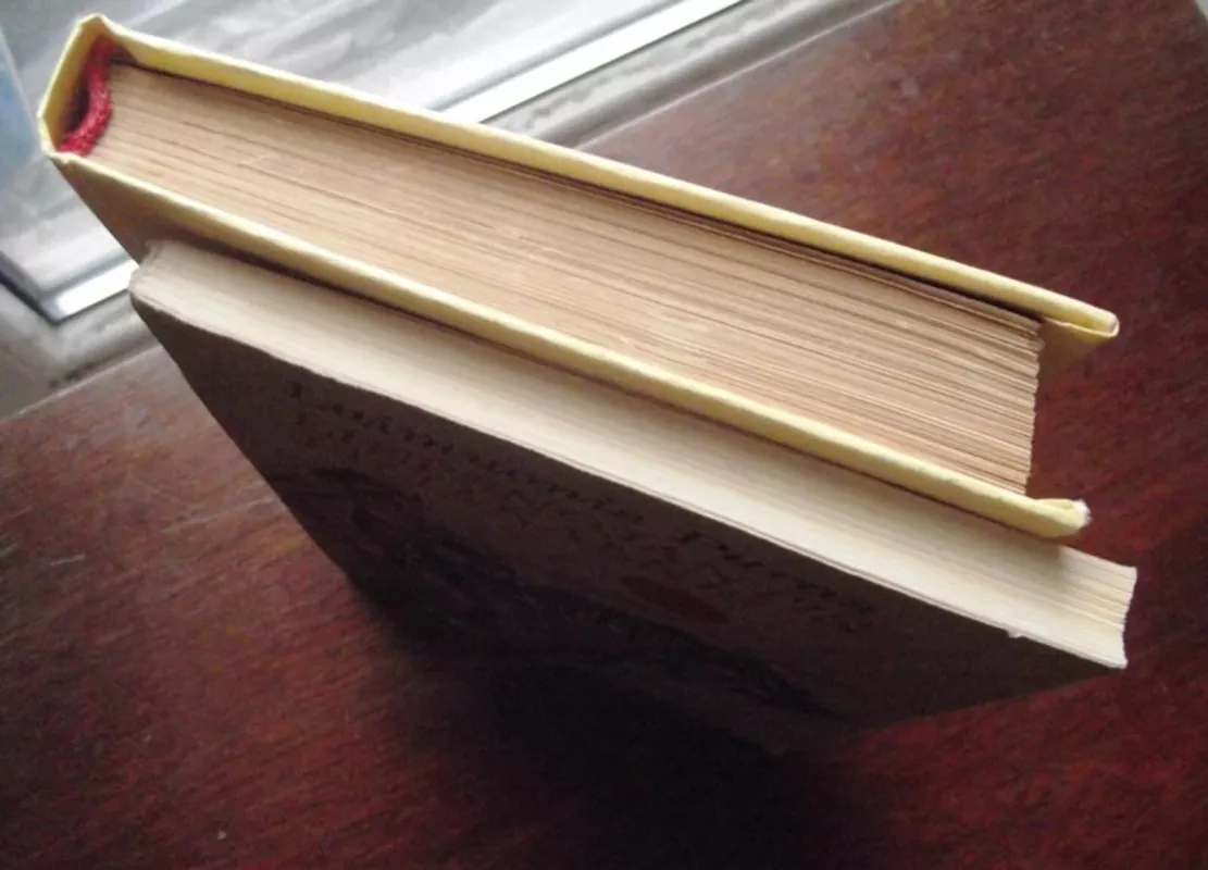 Jaunasis pagonis. Liepsnojantis piliakalnis (2KN.) - Vytautas Misevičius, knyga 3