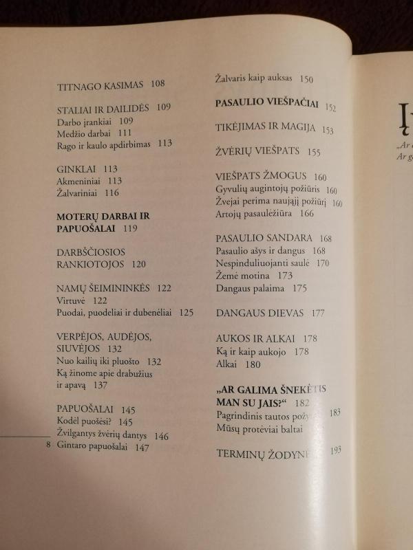 Lietuva iki Kristaus - Rimutė Rimantienė, knyga 3