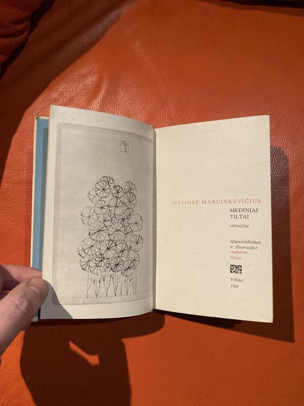 Mediniai tiltai - Justinas Marcinkevičius, knyga 4