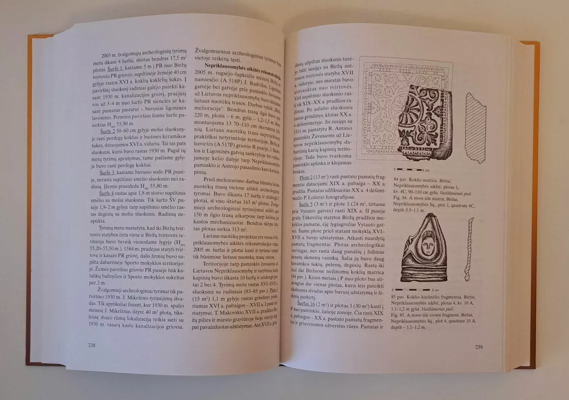 Archeologiniai tyrinėjimai Lietuvoje 2005 - Autorių Kolektyvas, knyga 3