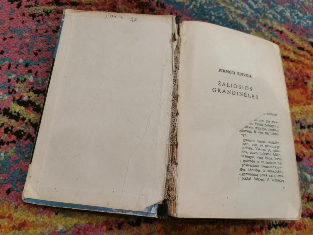 Tarantulas - Germanas Matvejevas, knyga 4