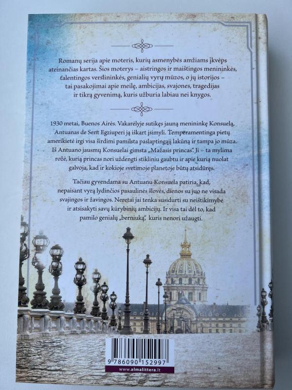 Ponia Egziuperi ir dangaus žvaigždės - Sophie Villard, knyga 3