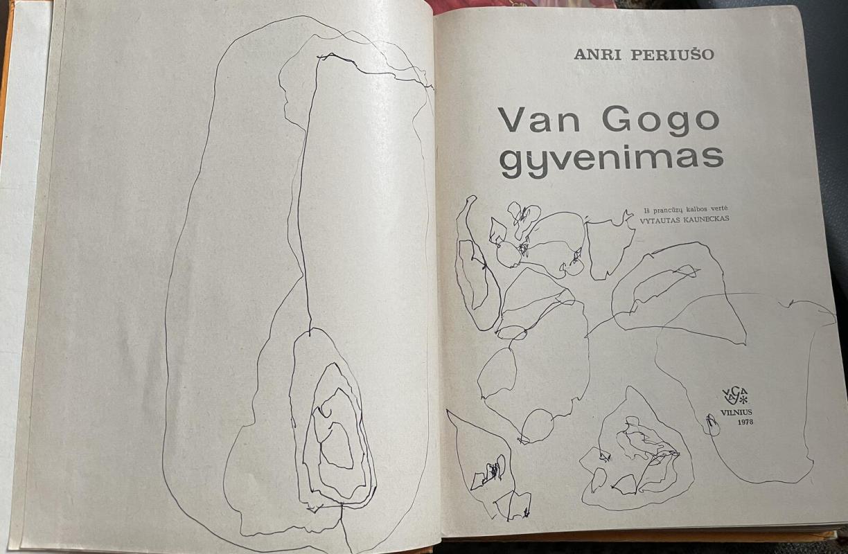 Van Gogo gyvenimas - Anri Periušo, knyga 5