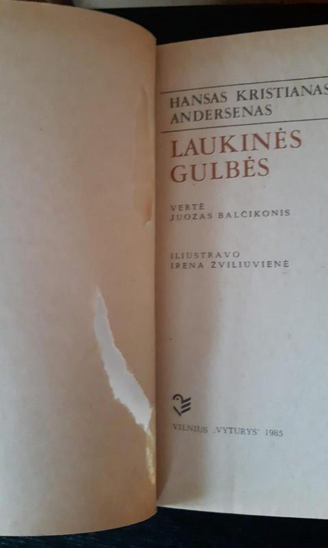 laukinės gulbės - Hansas Kristianas Andersenas, knyga 3