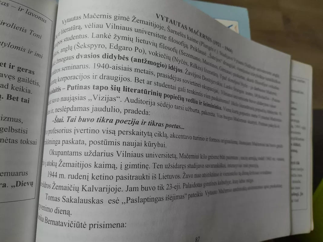 Vienu smūgiu pasirenk lietuvių kalbos valstybiniam egzaminui (antroji knyga) - Alijauskienė Nomeda, knyga