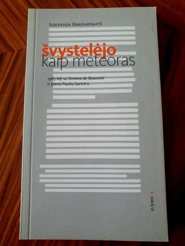 Švystelėjo kaip meteoras - Solveiga Daugirdaitė, knyga 3