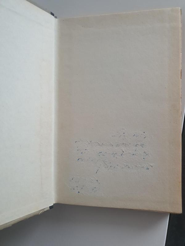 Nuo žemės į mėnulį - Žiulis Vernas, knyga 2