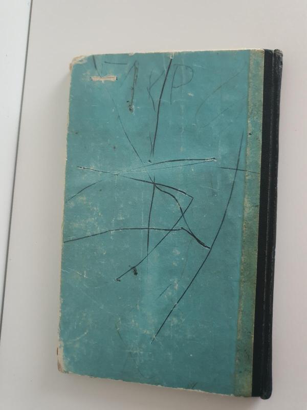 Negriukas Nobis - Liudvikas Renas, knyga 3