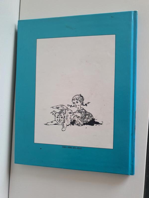 Rudis, kuris tapo Džimu - Emilija Liegutė, knyga 2