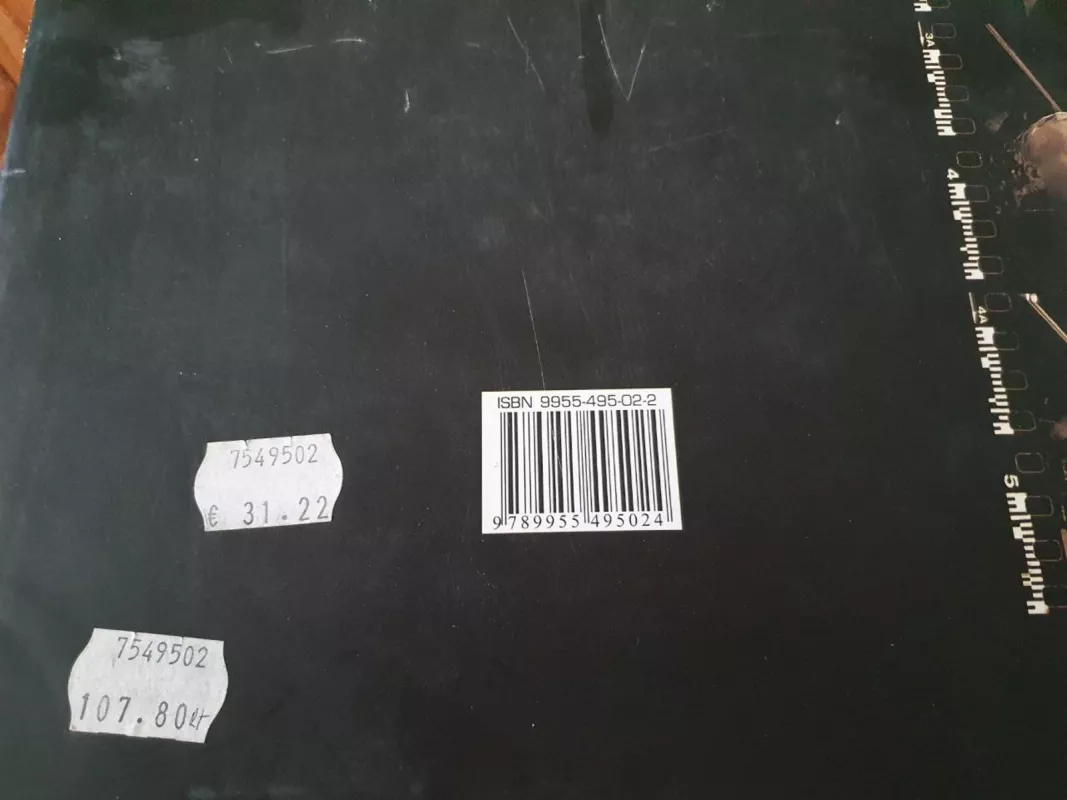 Devyni aukštai (fotografijų rinktinė) - Algimantas Aleksandravičius, knyga 3