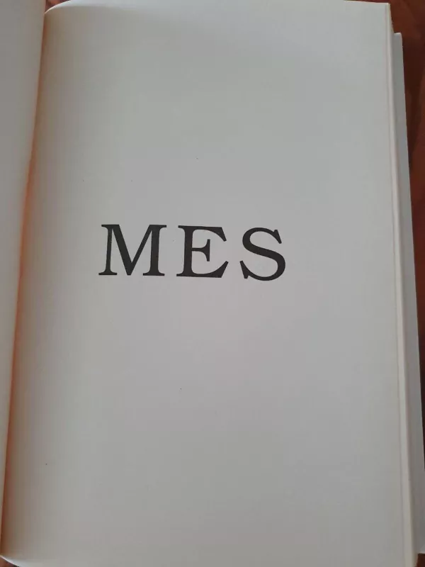 Mes - Jevgenij Zamiatin, knyga 2