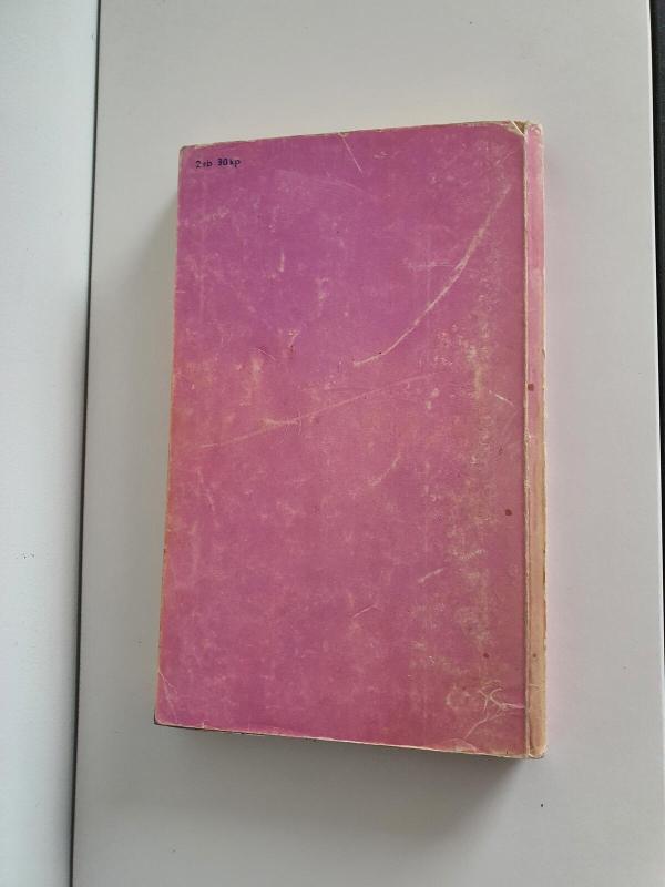 Juodasis obeliskas - Erichas Marija Remarkas, knyga 4