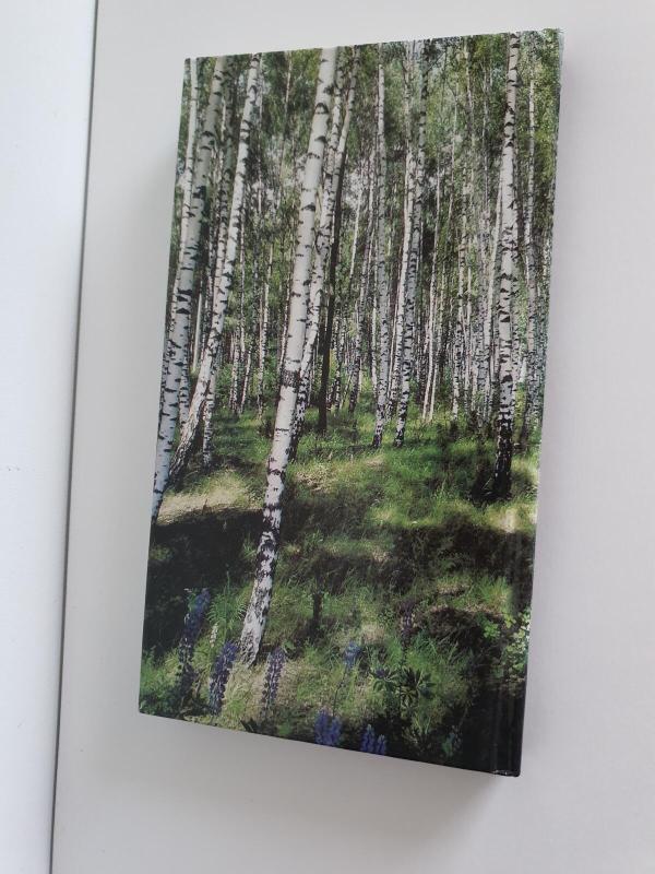 O parodyt širdies negaliu... - Paulius Širvys, knyga 2